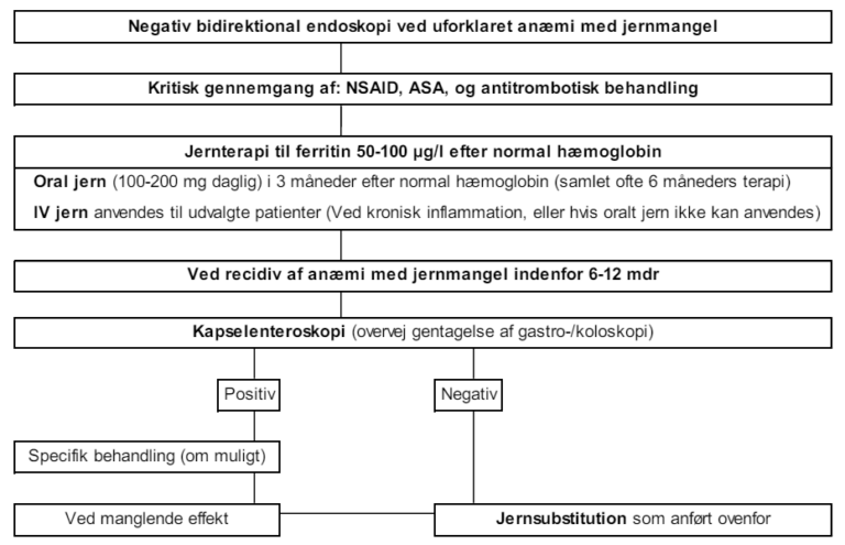 Jernmangelsanæmi – Lægenoter