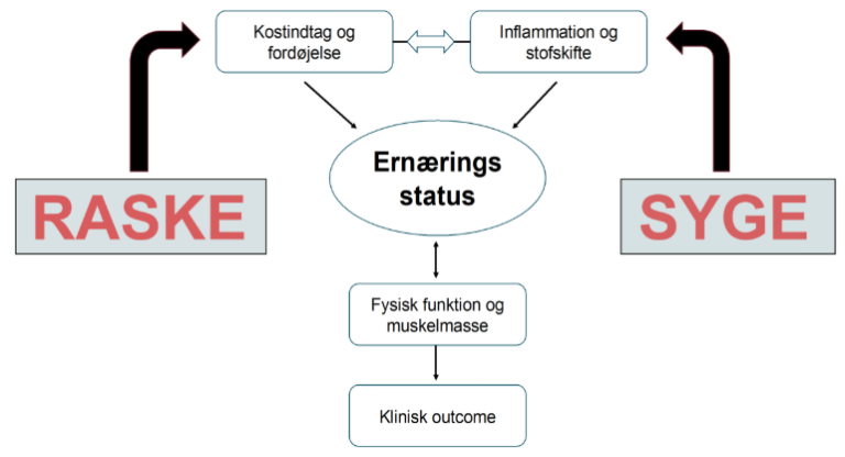 Sygdomsrelateret underernæring (SRU) – Lægenoter